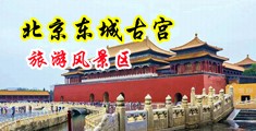 操b视频一级大黄片中国北京-东城古宫旅游风景区